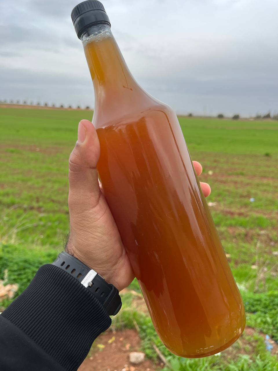 عسل جبلي تاع بكري